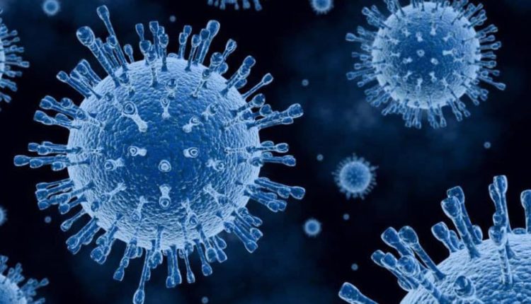 الجانب المُشرق للفيروسات